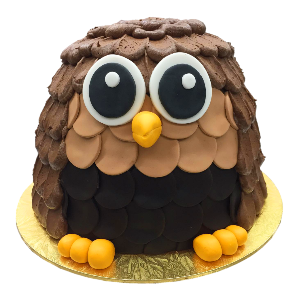 Owl